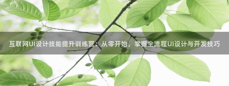 先锋娱乐游戏软件