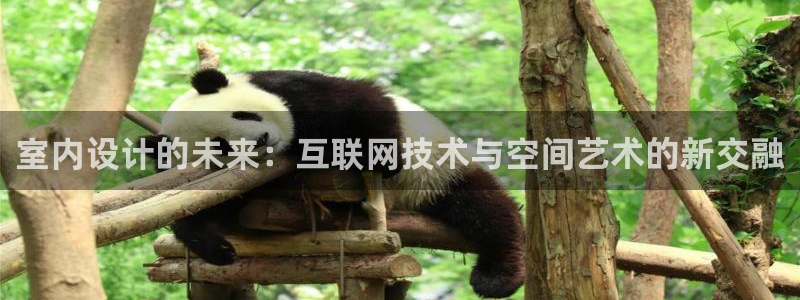 先锋娱乐资讯官网入口
