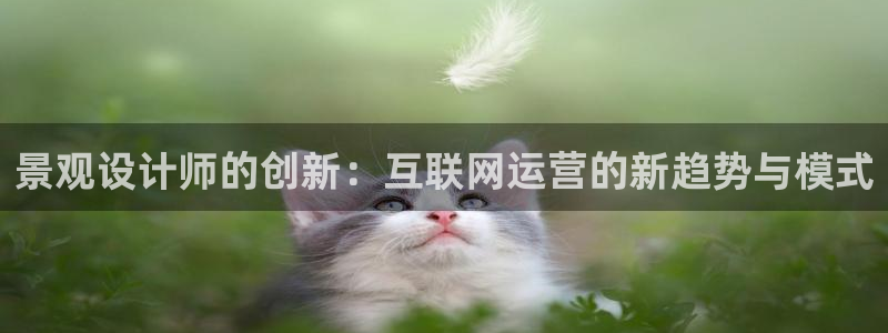 先锋综合娱乐