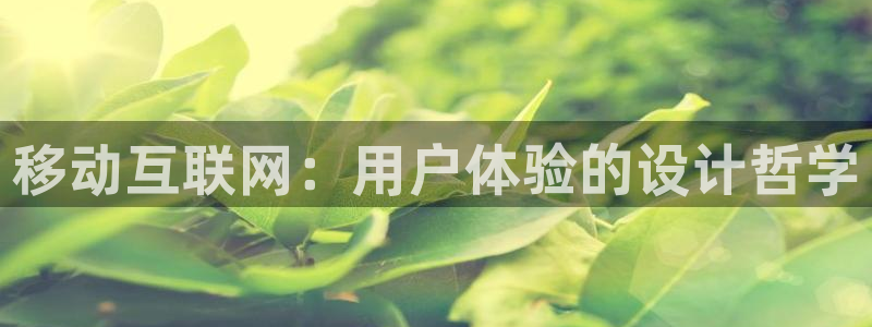 先锋娱乐系统