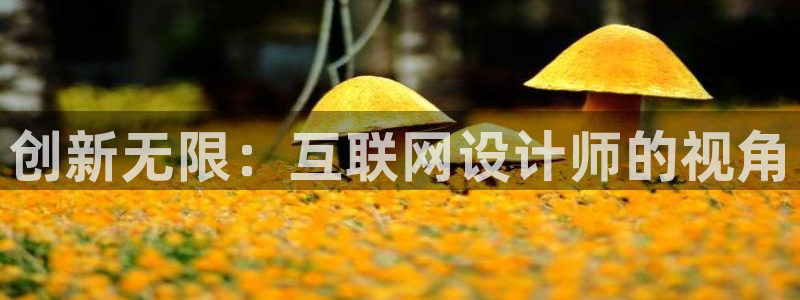 先锋互动娱乐