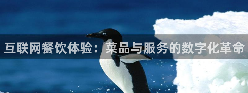 先锋互动娱乐