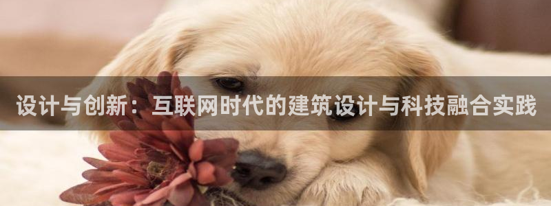 怎么下载先锋娱乐大厅