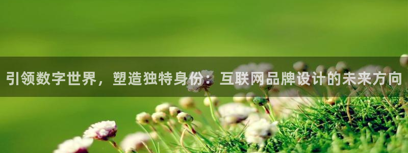 先锋娱乐平台：引领数字世界，塑