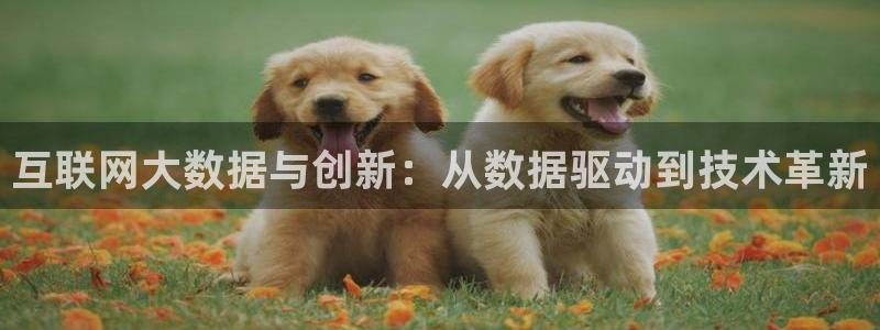 先锋娱乐手机：互联网大数据与创
