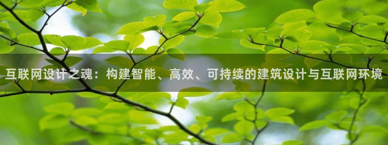 先锋娱乐官网：互联网设计之魂：