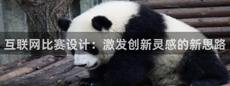 先锋娱乐公司正规吗吗：互联网比
