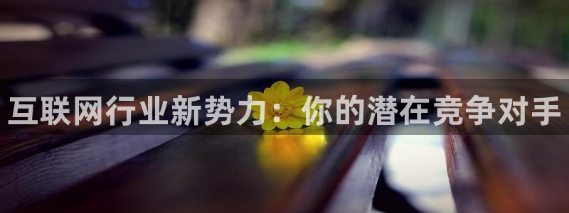 先锋电玩娱乐