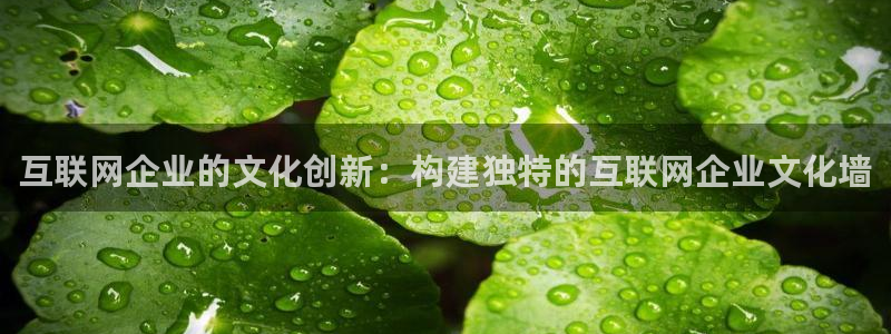 大连先锋娱乐