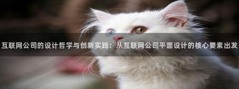 先锋娱乐官方