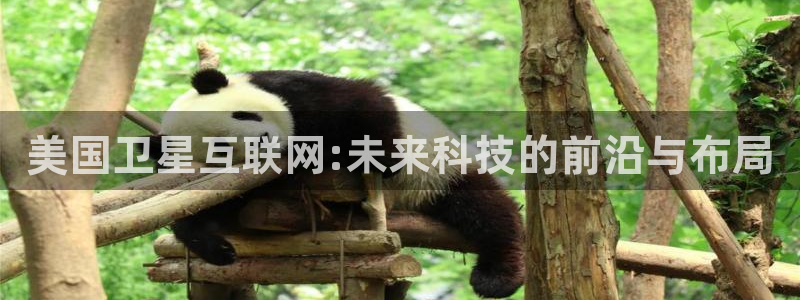 先锋综合娱乐