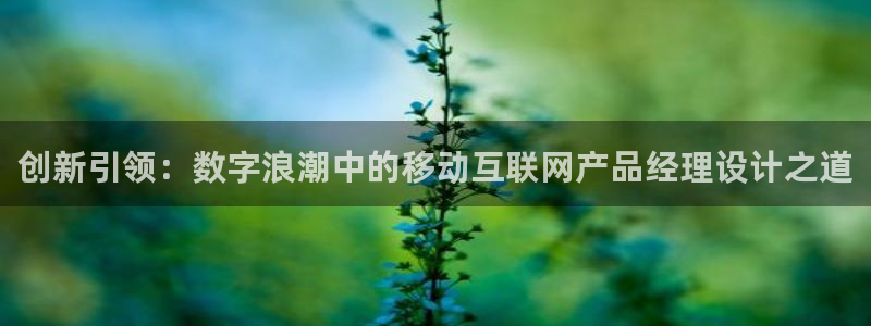 先锋娱乐官