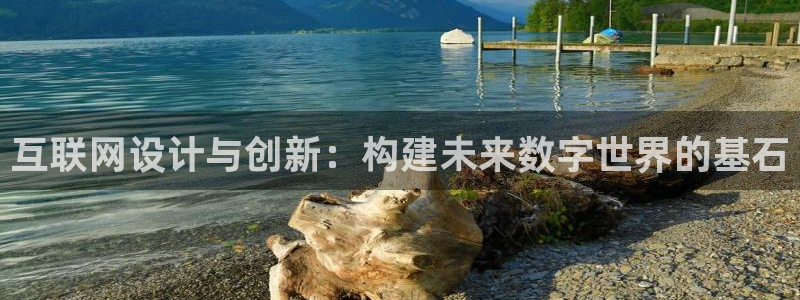 先锋娱乐链接：互联网设计与创新