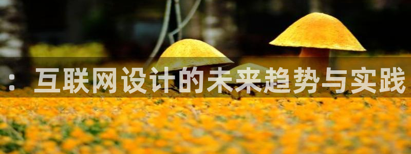 先锋队娱乐：：互联网设计的未来