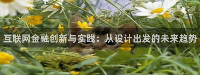 先锋娱乐官