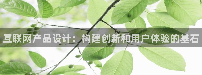 先锋娱乐情报
