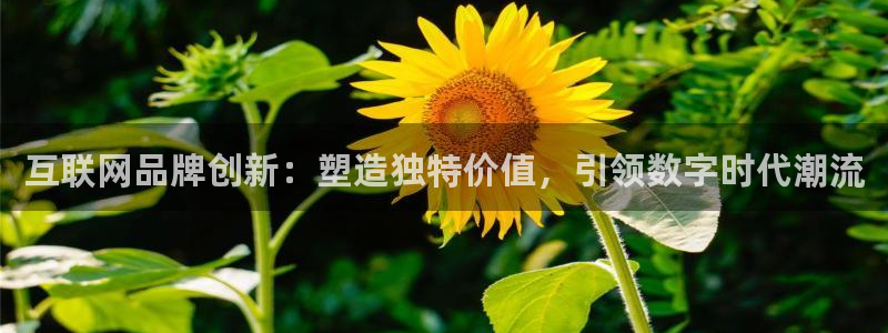 先锋娱乐网