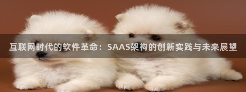 先锋娱乐登录：互联网时代的软件