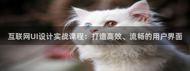 娱乐急先锋李诞甄子丹