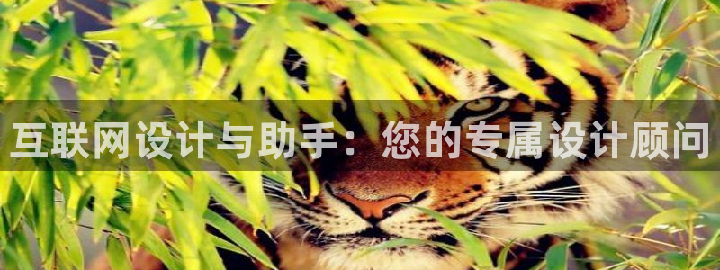 先锋方舟娱乐集团