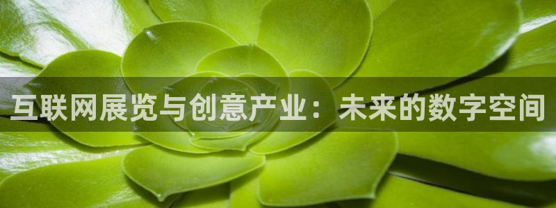 先锋娱乐中国
