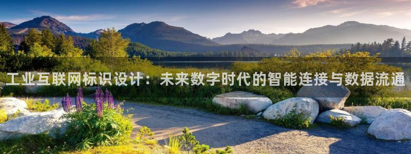 先锋娱乐体育管理集团