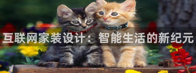 先锋娱乐赛