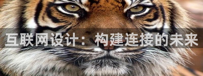 先锋娱乐上分