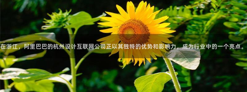 先锋娱乐科技