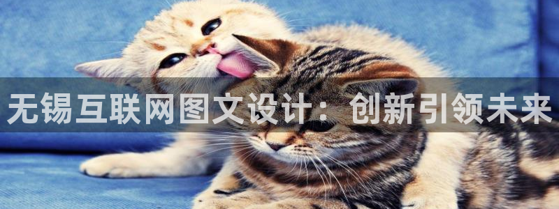 亚洲先锋娱乐行情