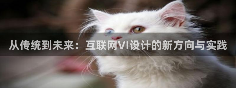 先锋娱乐股票：从传统到未来：互