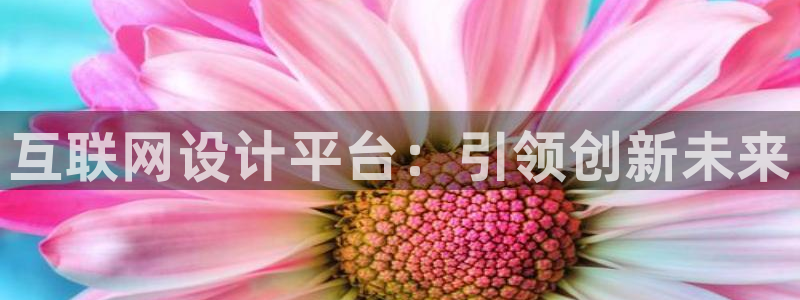 澳门先锋娱乐：互联网设计平台：