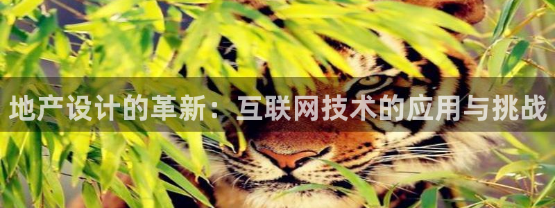先锋娱乐账号：地产设计的革新：