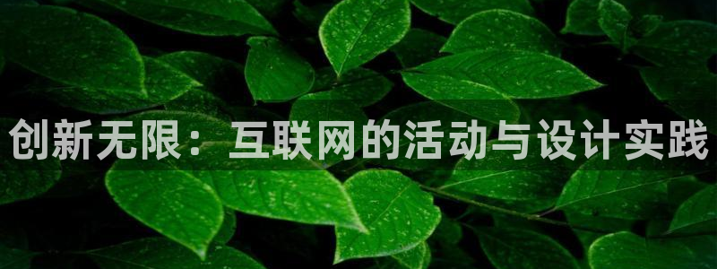 先锋电子车载娱乐系统
