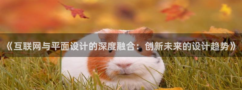 澳门先锋娱乐：《互联网与平面设